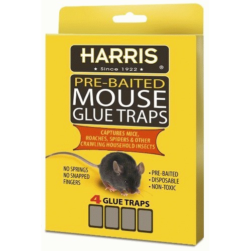 Mouse Glue Trap