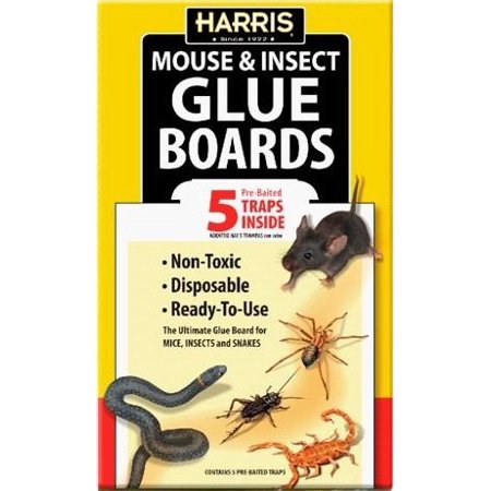 Glue Board