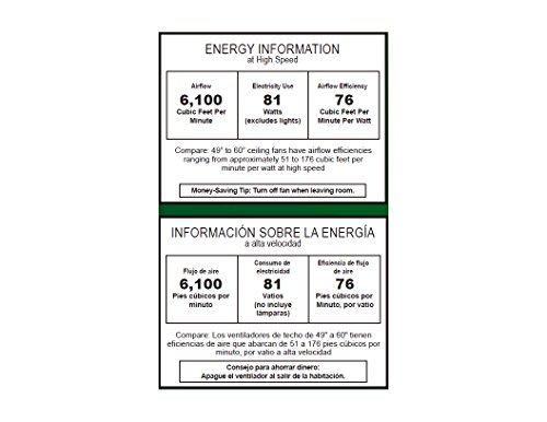 Hunter Grand Cayman 54 in. Indoor/Outdoor Onyx Bengal Bronze Ceiling Fan with Light Kit