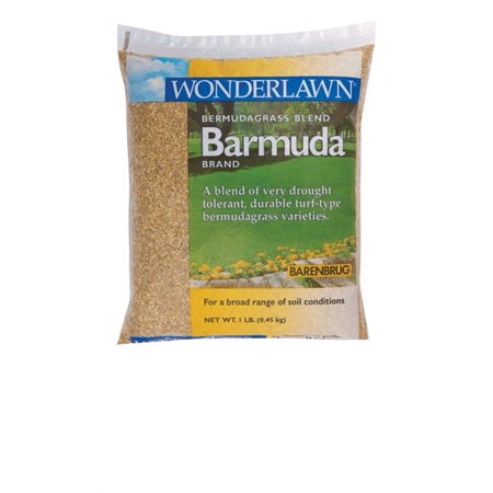 BARMUDA BERMUDA GRASS 1#