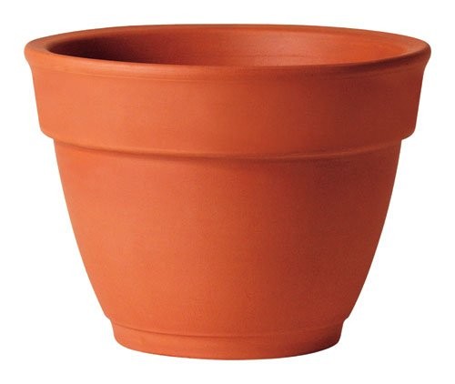 RED CLAY GARDENBELL 4.3"