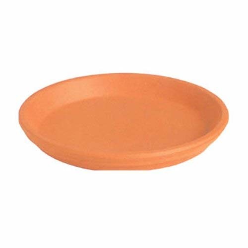 Deroma 12-1/4 in. Clay Saucer
