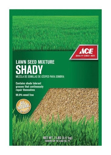 ACE SHADY NORTH SEED 7#