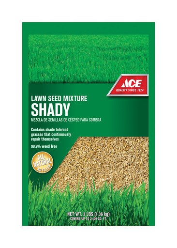 ACE SHADY TRAN SEED 3#