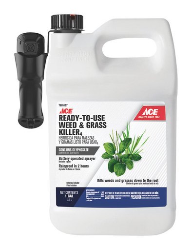 ACE W&G KLR RTU BOS 1GAL