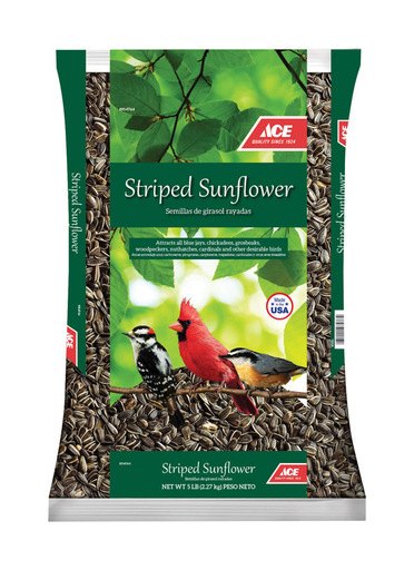 ACE STRIPED SUNFLOWR 5LB