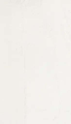 [373000004] FLEXI CONCRETE-PURE WHITE 23X118