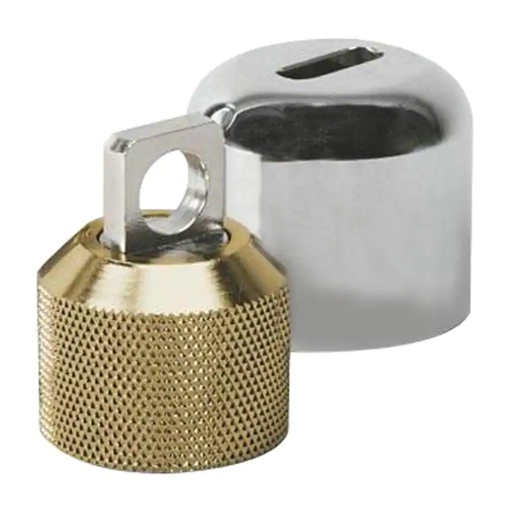 [4306601] Conservco 3/4 in. Hose MPT Anti-Siphon Brass Hose Bibb Lock