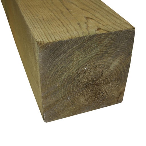 [022121224] 12X12X24 PINO CEP. TT