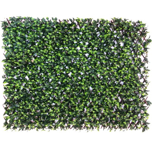 [501008028] FOLIAJE #7999918   39-3/8X78-5/8