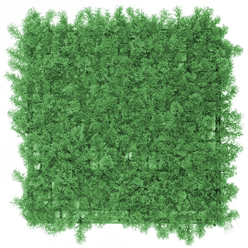 [501008026] FOLIAJE #7999915   39-3/8X39-3/8