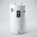 Calentador de agua 20 gal 110V