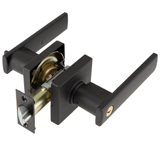 [380000990] CERR. TOLEDO #CV1900LUUS514