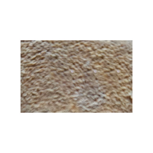 [295000732] MOLD. C/ROSA WP254 1/2X3/4X8