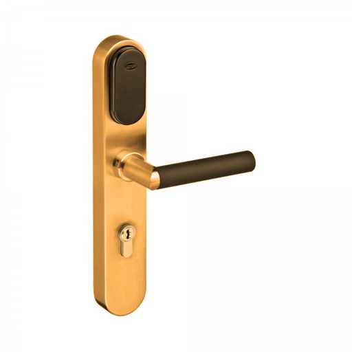 [IN19S113535BTC] JNF CYLINDER LLA/PES70MM T/COPPE