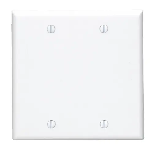 [3218419] Two Gang Blank Wallplate, White