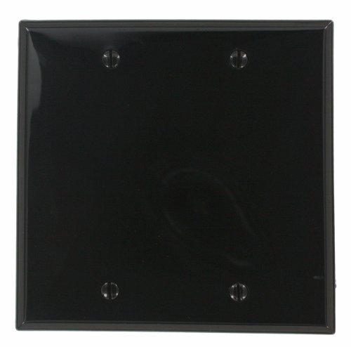 [450010189] 2-Gang Black Blank Plate Nylon Standard Wall Plate (1-Pack) 80725-E