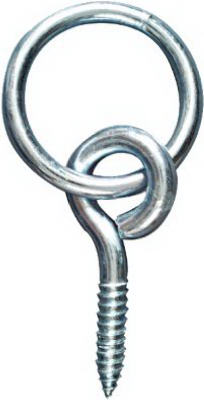 [5336763] SCRWEYE W/RING 3/8X3 5/8