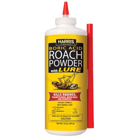 [7247174] BORIC ACID 16 OZ