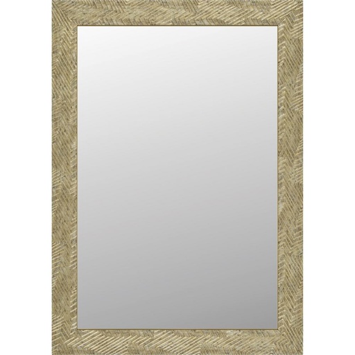 [NU61] Delta 24 in. W X 36 in. H Framed Rectangular Wall Mounted Bathroom Vanity Mirror in Champagne Chic