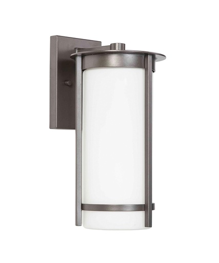 [455000082] Truxton 1-Light Graphite Hardwired Outdoor Wall Lantern Sconce
