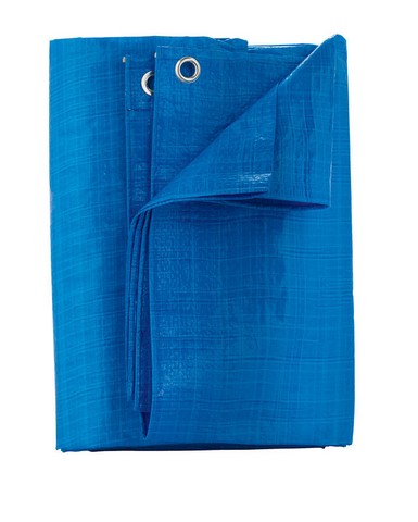 [7229826] Home Plus 10 Ft. W X 12 Ft. L Light Duty Polyethylene Tarp Blue