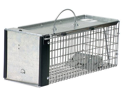 [88872] Havahart X-Small One-Door Live Animal Cage Trap for Chipmunks, Squirrels, Rats, Weasels