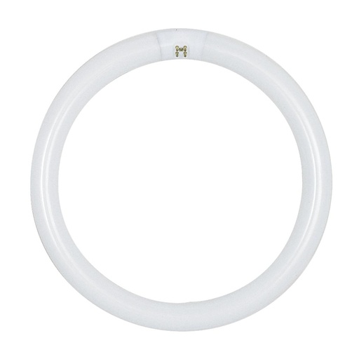 [S6501] TUBO 22W T9 REDONDO DAYLIGHT