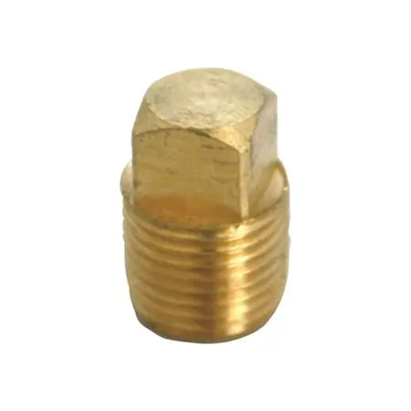 [4504981] CORED PLUG SQHD1/8" LF