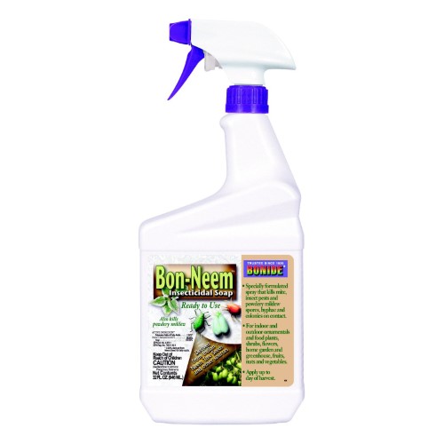 [7208606] BON-NEEM RTU QT