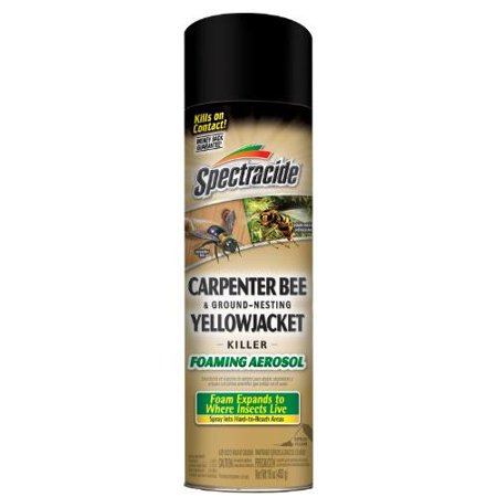 [7304645] CARPENTER BEE& WASP 16OZ