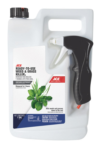[7587199] ACE W&G KILLER RTU 1GAL