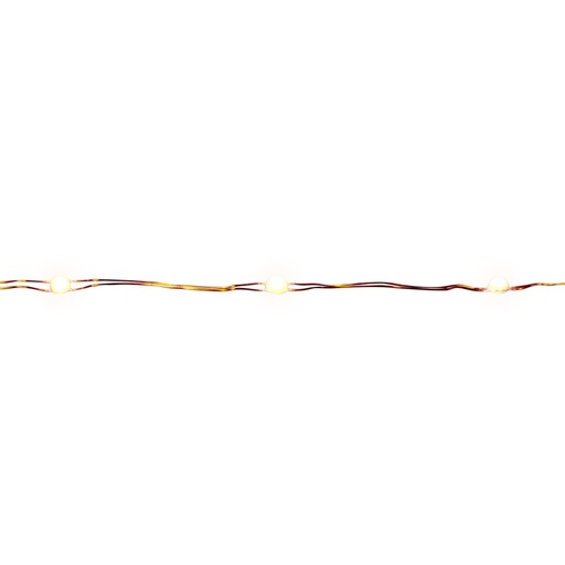 [9046303] BIG SEED BO CPR WW 100CT